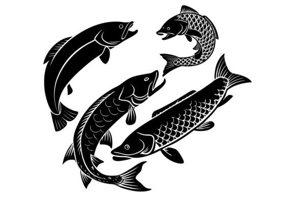 The Black Silhouette of Arapaima Fish and Va